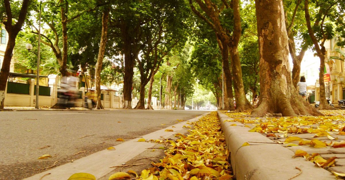 Du lịch mùa thu: Hành trình lãng mạn với sắc màu thiên nhiên