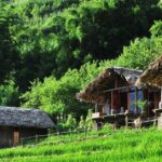 Cách lựa chọn chỗ ở phù hợp khi đi du lịch chi tiết