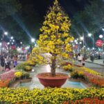 Hội Hoa Xuân Tao Đàn: Rực rỡ sắc màu Tết giữa lòng Sài Gòn