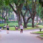Ngắm cảnh và chơi thể thao tại công viên Tao Đàn, Sài Gòn